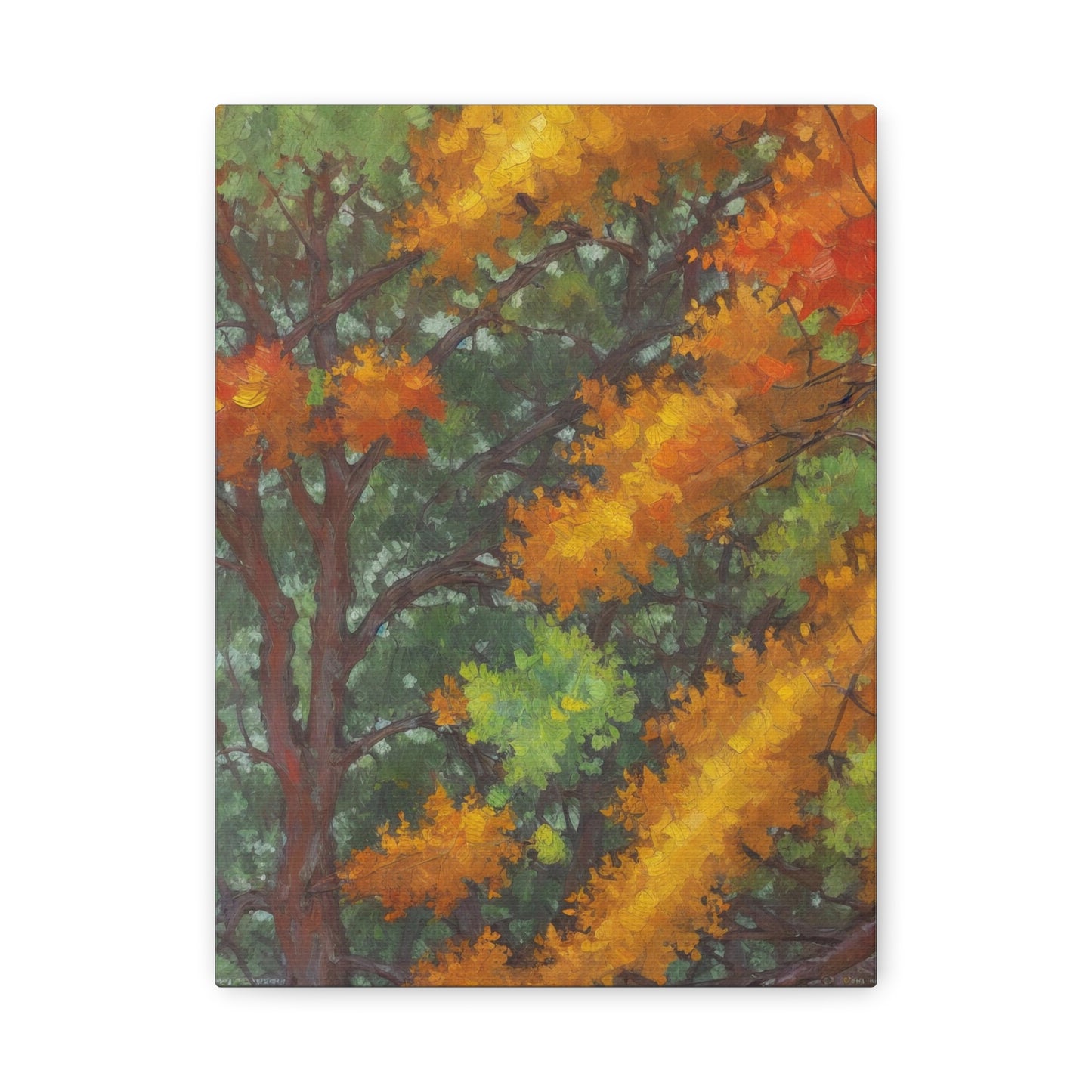 Autumn Forest Tranquility